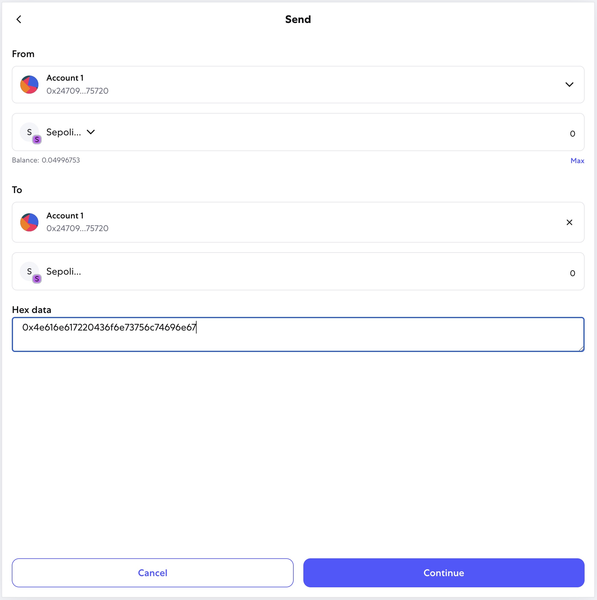 Pasting the 0x-prefixed hash into MetaMask's Hex data field